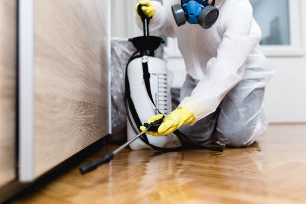 Best Pest Control Near Me  in Little Falls, MN