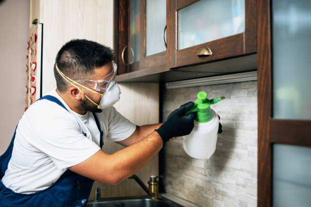 Best Emergency Pest Control  in Little Falls, MN