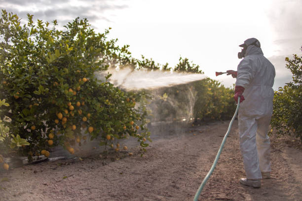 Best Emergency Pest Control  in Little Falls, MN