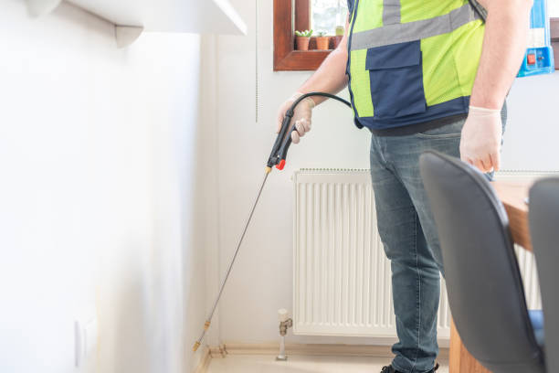 Best Best Pest Control Companies  in Little Falls, MN